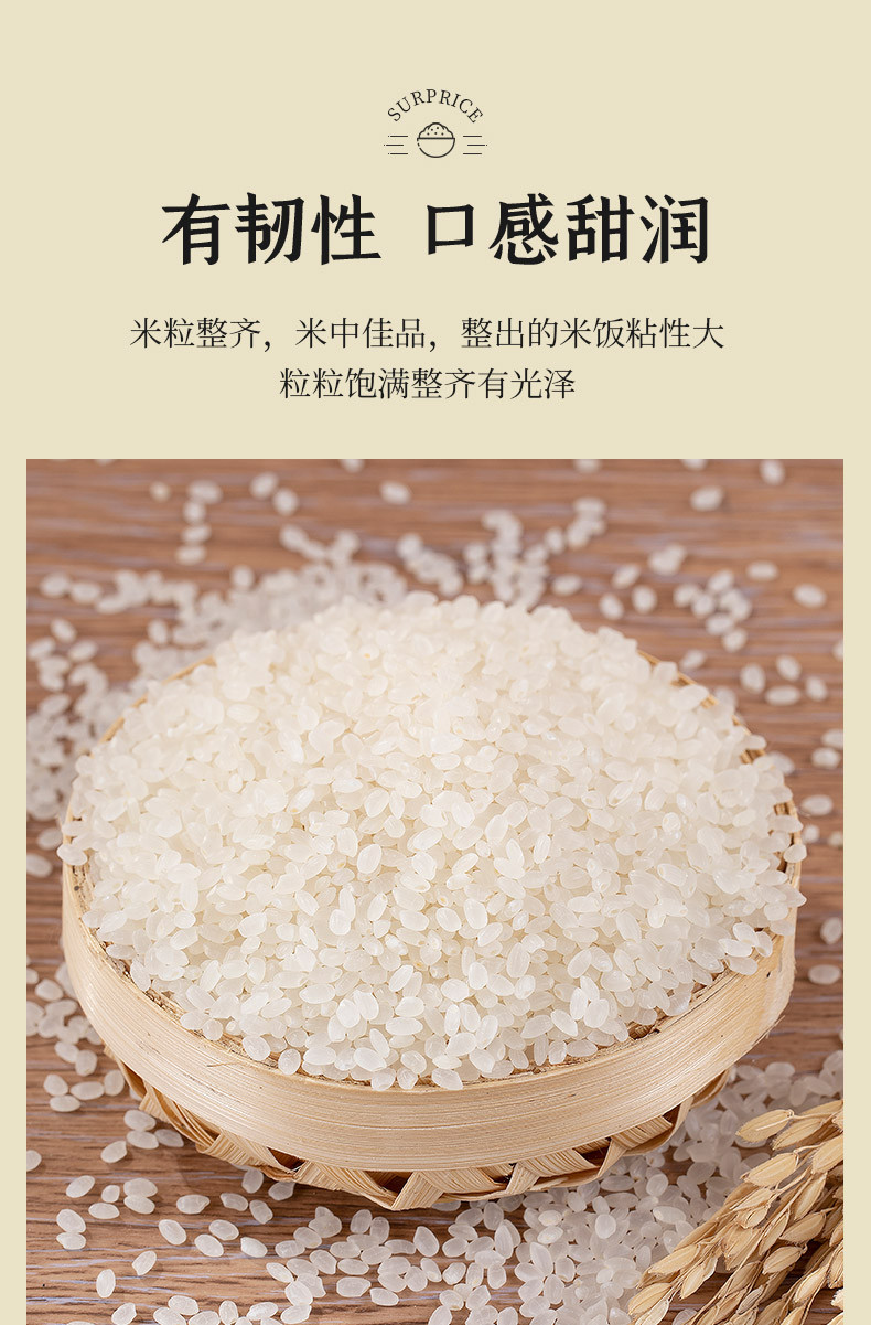 嫩江古河稻 超吉香米 5公斤