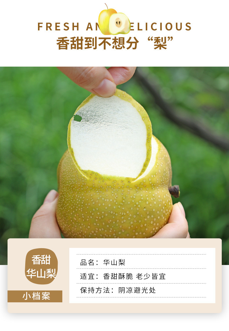 翠王 甜蜜多汁华山梨（单果250g+） 4.5斤