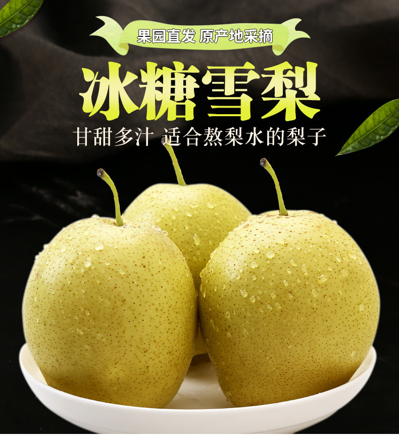 翠王 河北正宗雪花梨（单果250g+） 3斤