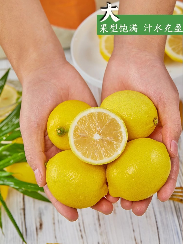 鲜小盼  四川安岳黄柠檬1斤新鲜水果精选皮薄一级香水鲜甜柠檬