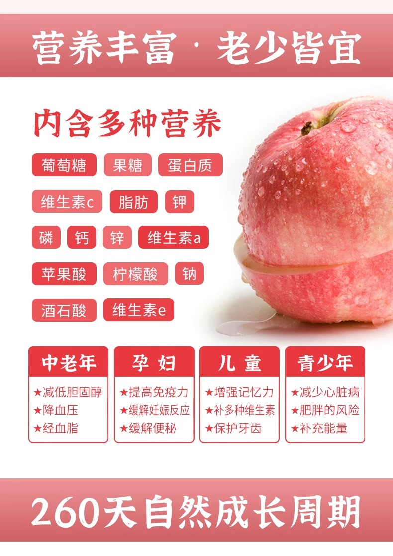 鲜小盼 脆甜红富士苹果水果新鲜3斤的果园直发苹果现摘现发
