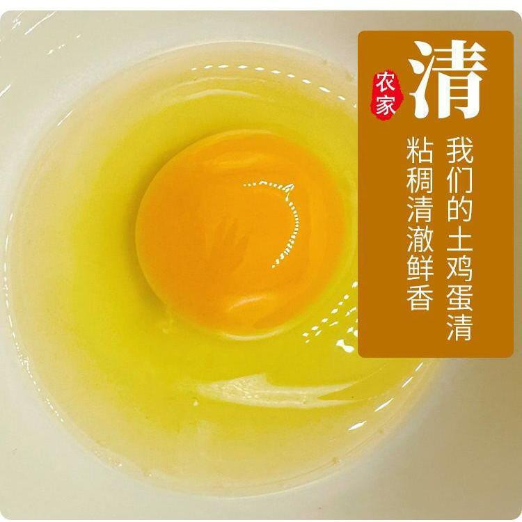 鲜小盼  土鸡蛋【30枚】农村散养批发山鸡野鸡草鸡蛋供应鲜鸡蛋