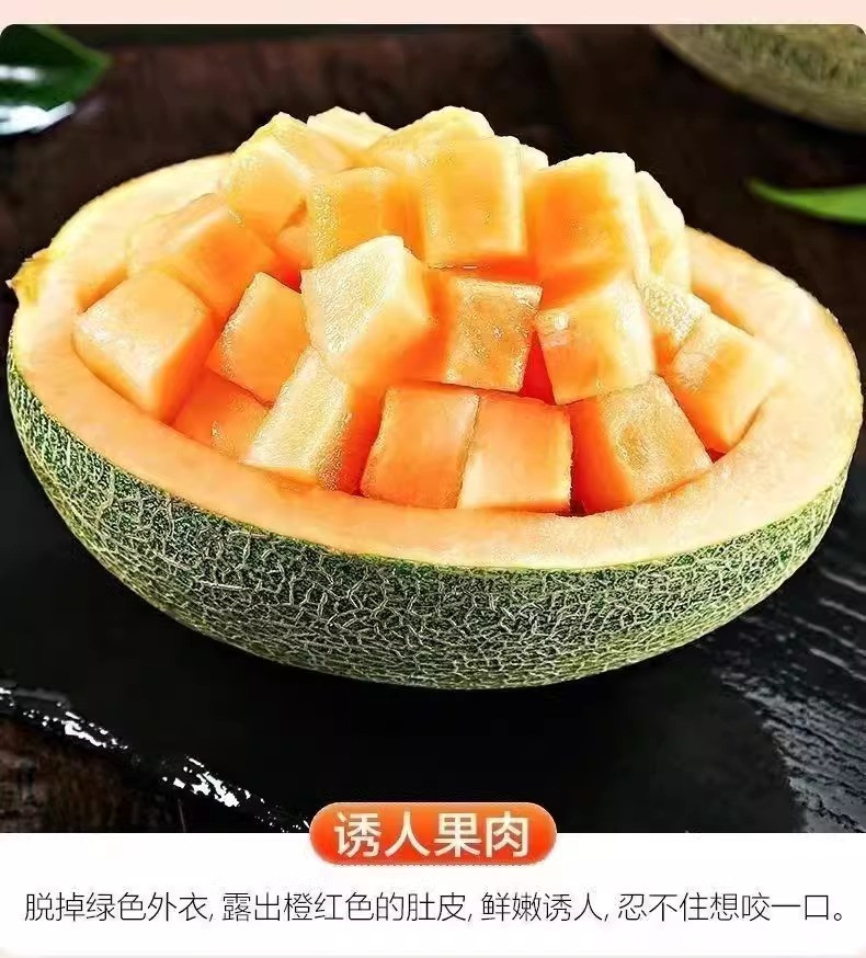 鲜小盼 海南哈密瓜精选9斤蜜瓜应季新鲜水果口感清爽脆甜蜜瓜