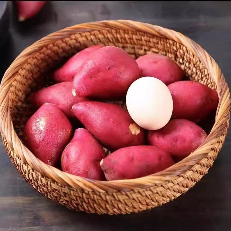 鲜小盼 黄心板栗香薯地瓜产地直供鸡蛋黄新鲜3斤选蔬菜