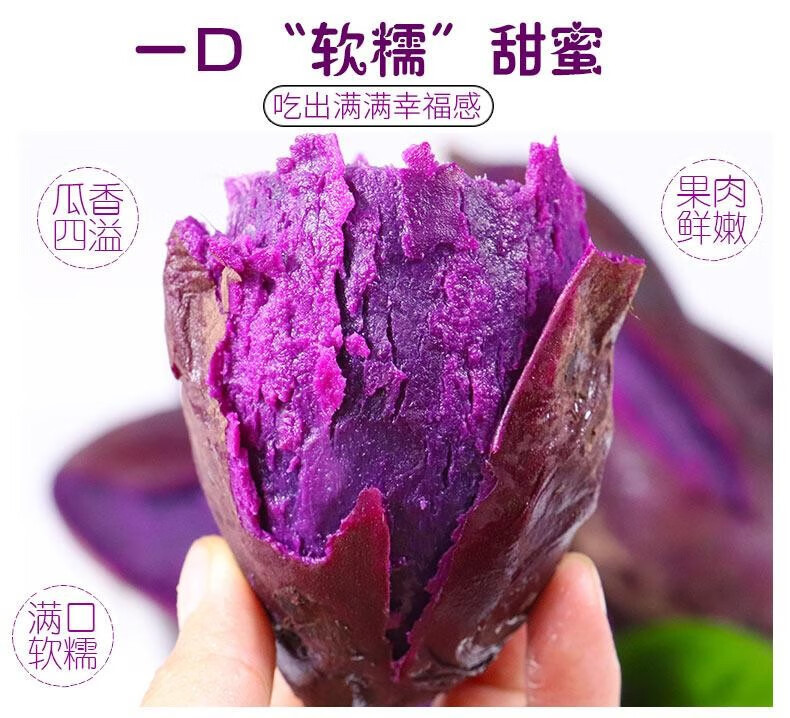 鲜小盼 新鲜紫薯【5斤】紫心红薯番薯地瓜山芋产地直发农家自种