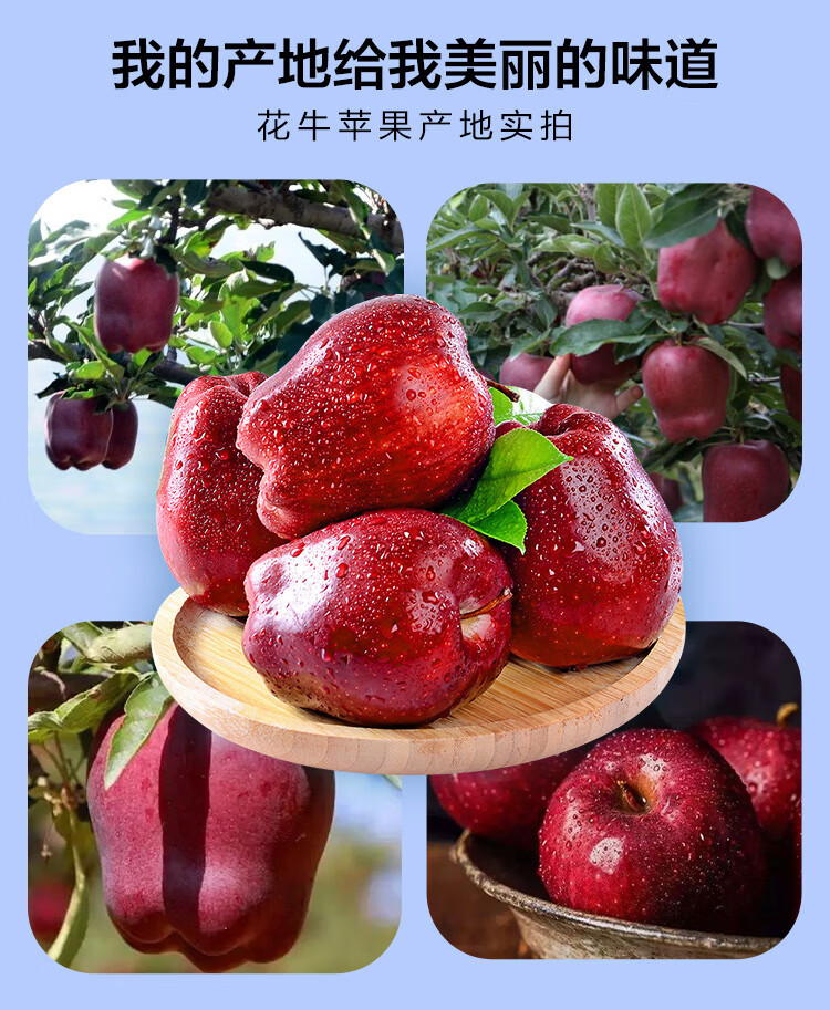 鲜小盼 甘肃天水花牛苹果3斤新鲜水果当季红蛇粉面当季苹果
