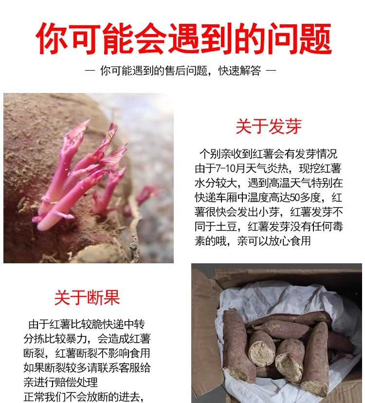 鲜小盼 新鲜白心薯【9斤】白瓤爆皮王9斤干面当季沙地番薯现挖现发