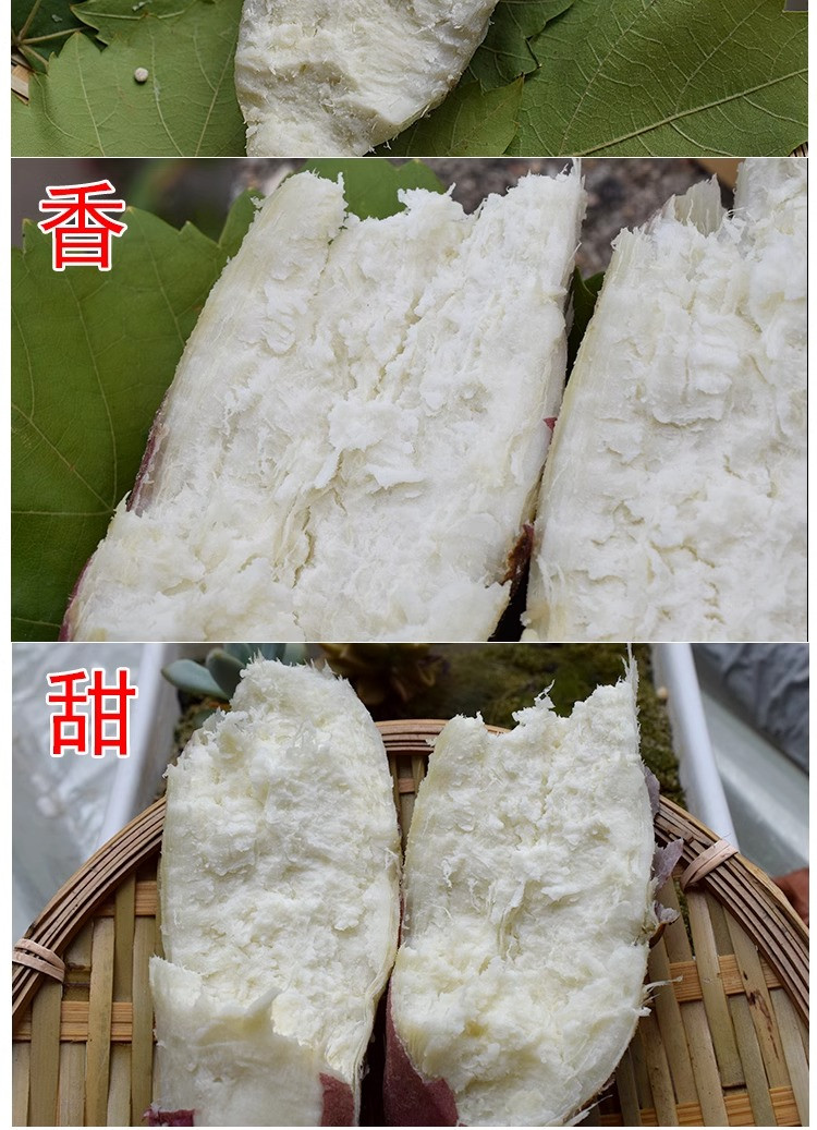 鲜小盼 新鲜现挖【白心薯3斤】红皮板栗薯农家自种白心番薯地瓜