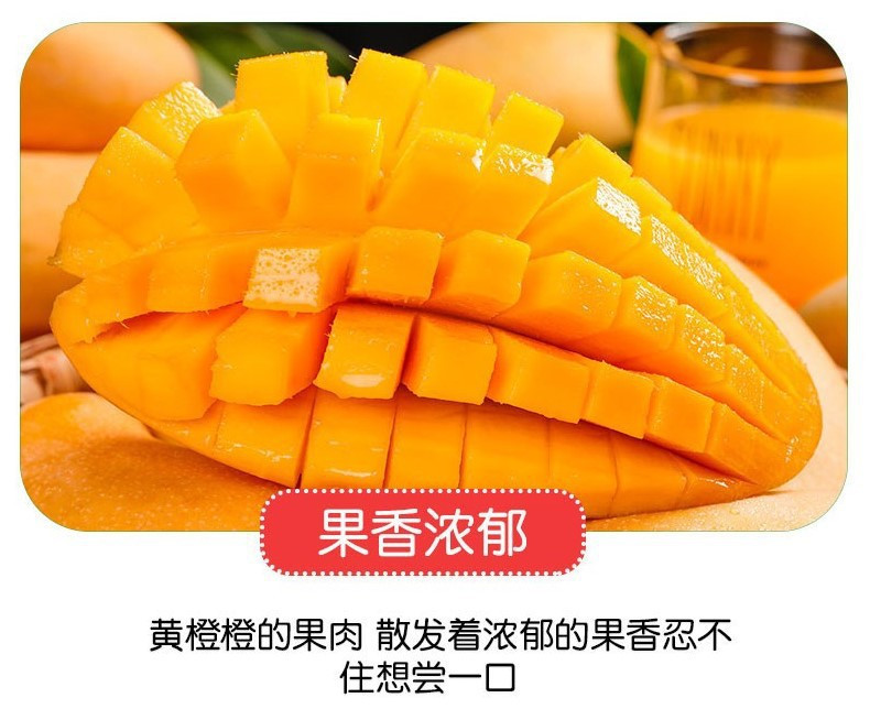 鲜小盼 【3斤】海南金煌芒果当季现摘超甜新鲜热带水果