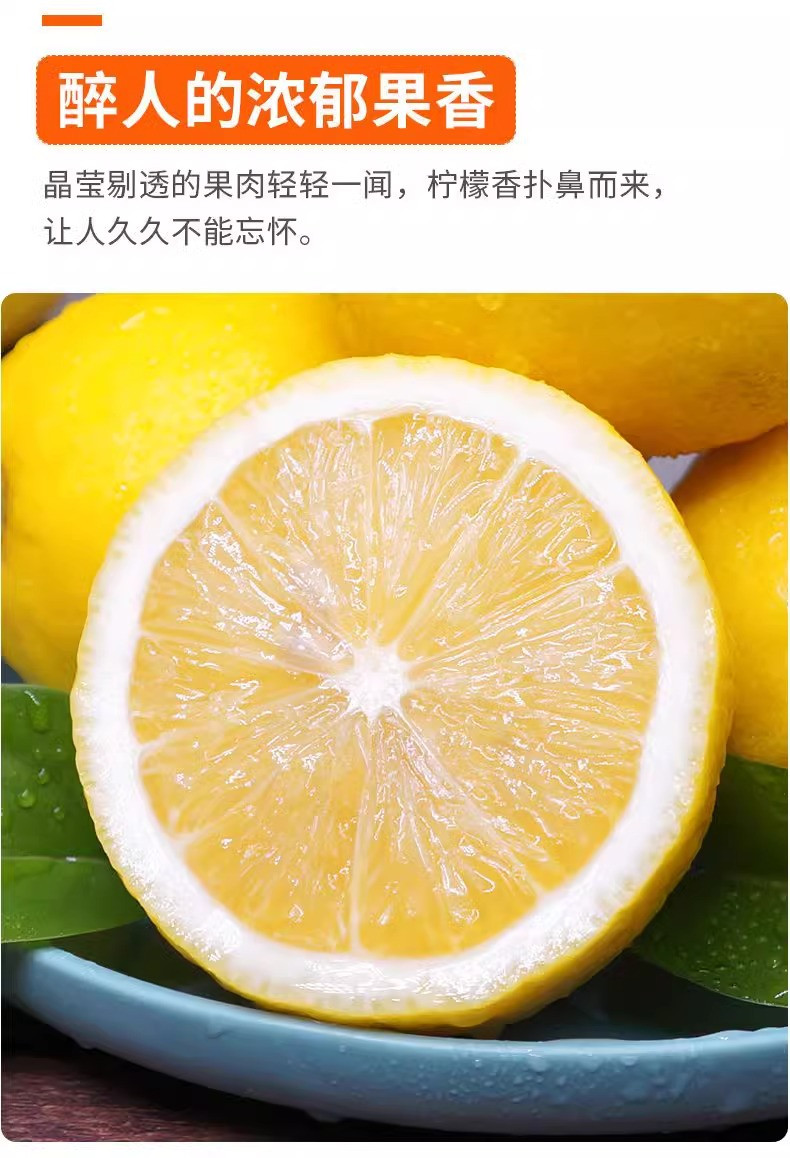 鲜小盼 安岳黄柠檬【6个装】单果80g+皮薄汁多奶茶店专用新鲜应季