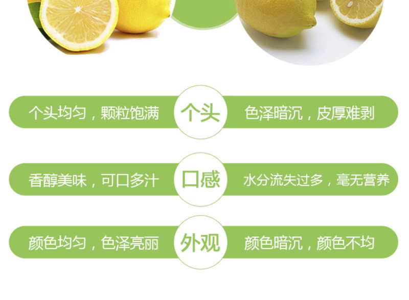 鲜小盼 四川安岳黄柠檬6枚装 新鲜现摘香水柠檬单果80g+