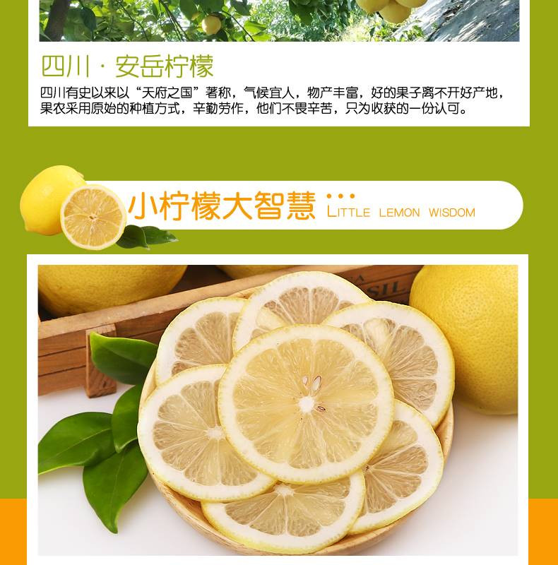 鲜小盼 四川安岳黄柠檬【5个60g+】新鲜水果奶茶饮品店专用皮薄多汁