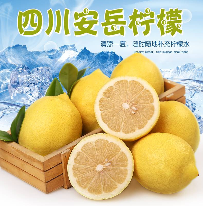 鲜小盼 四川安岳黄柠檬【5个60g+】新鲜水果奶茶饮品店专用皮薄多汁