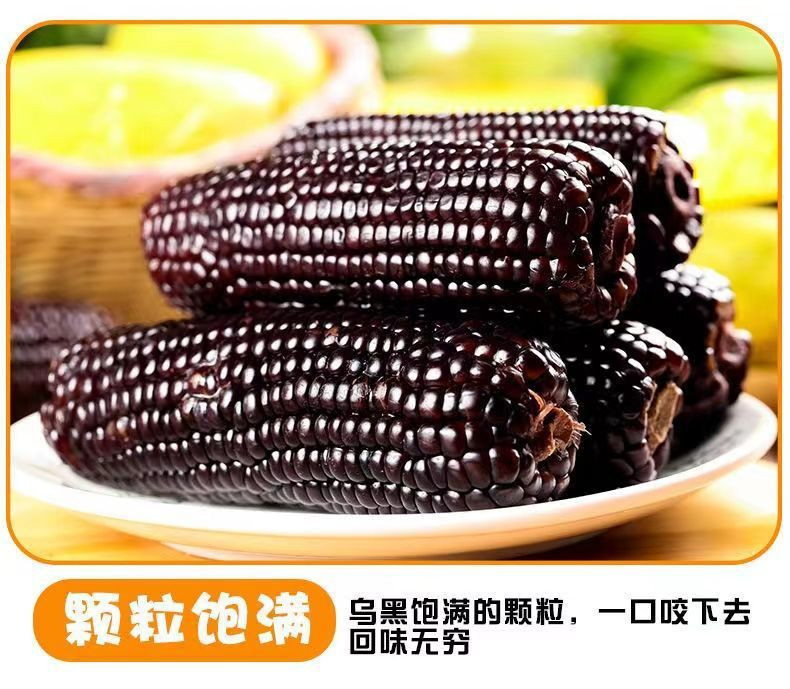 鲜小盼 黑糯玉米2棒新鲜现摘真空装140g+低脂代餐黑玉米