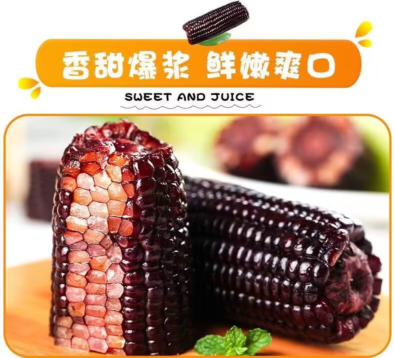 鲜小盼 东北黑糯玉米【10棒】大棒200g+手工种植真空袋装速食软糯