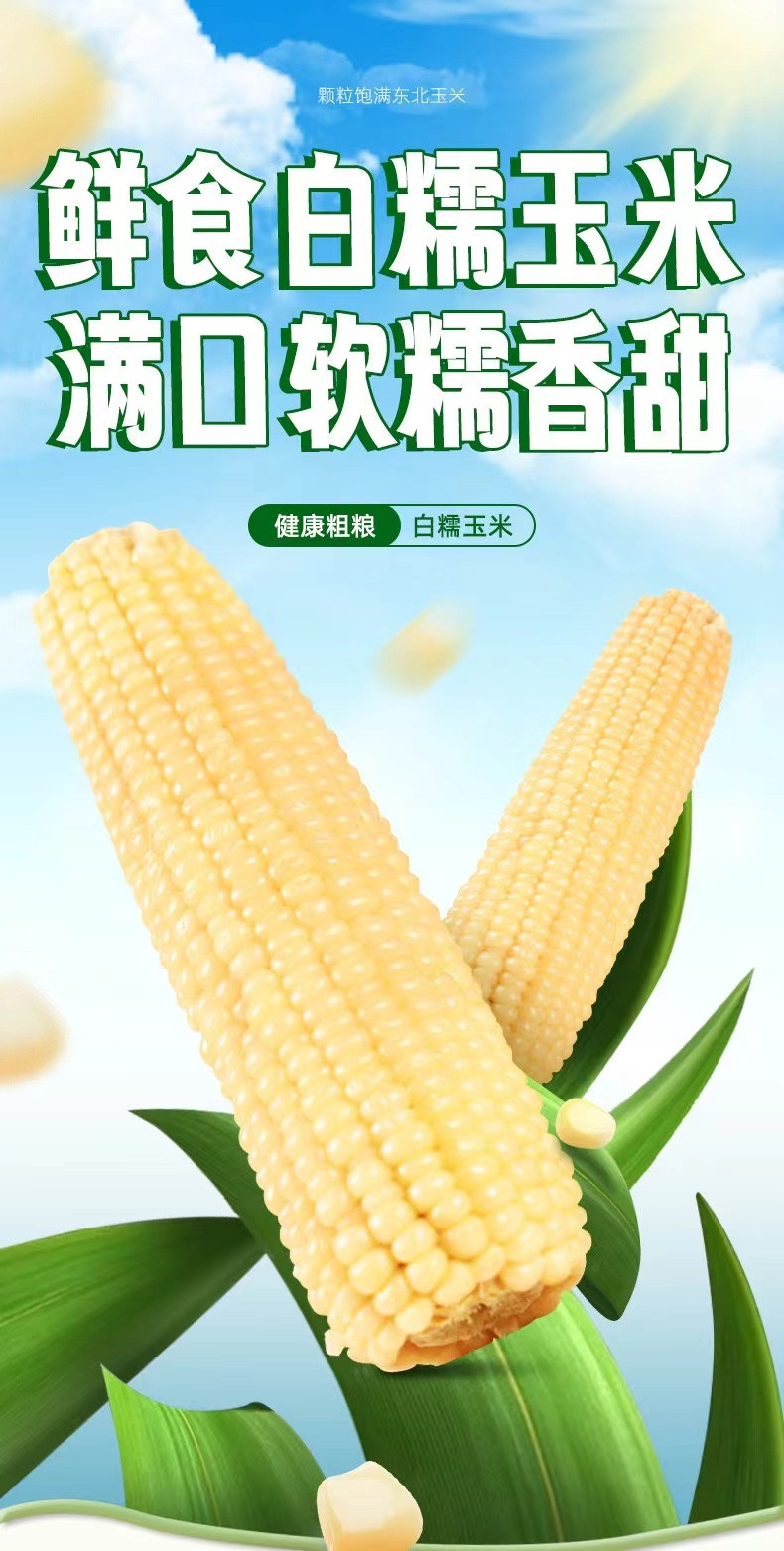 鲜小盼 大棒白糯玉米【8棒】280g+新鲜真空包装即食粗粮减脂代餐