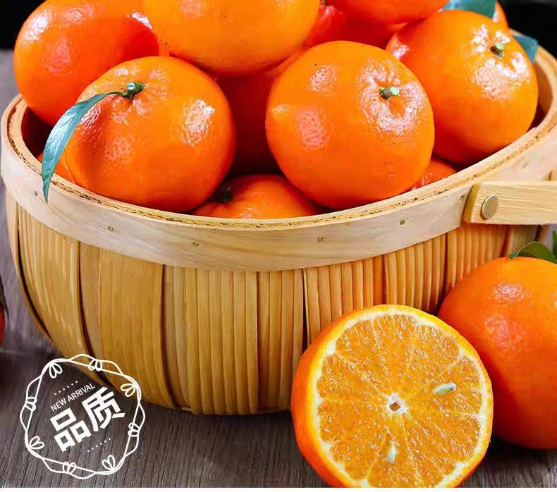 鲜小盼 【助农】广西沃柑 5斤 现摘现发橘子产地直达果肉饱满