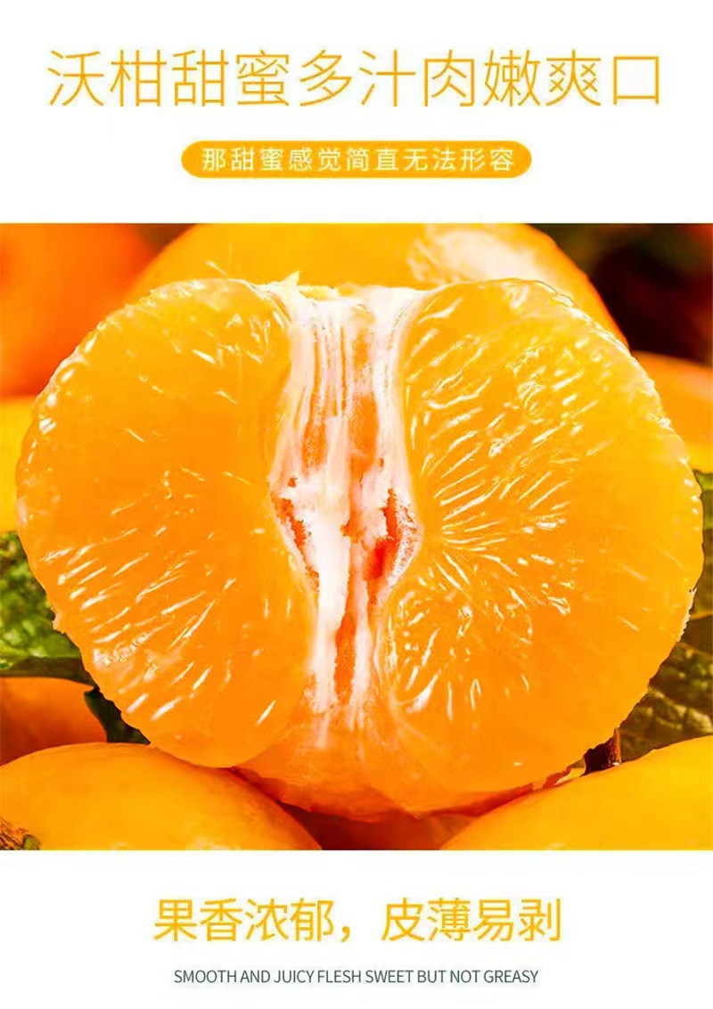 鲜小盼 【帮扶】广西沃柑 2斤 新鲜水果柑橘当季老农亲选 高品质