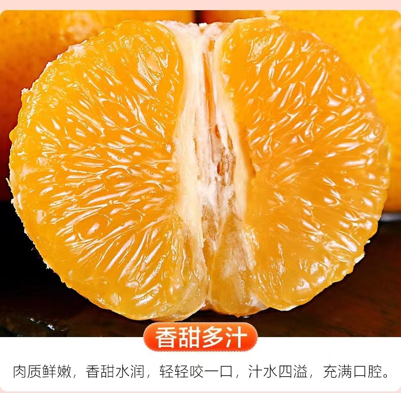 鲜小盼 【助农】广西沃柑 5斤 现摘现发橘子产地直达果肉饱满