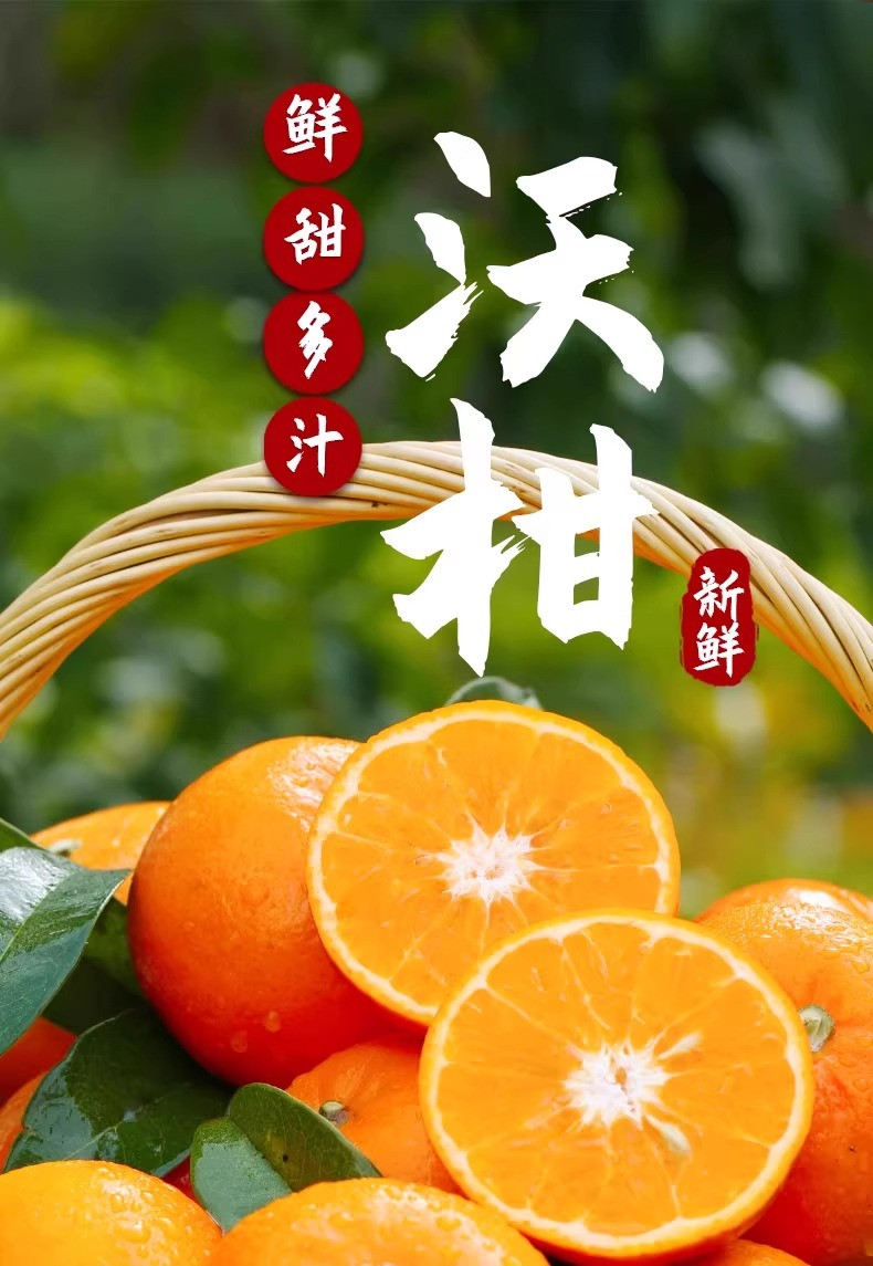 鲜小盼 【帮扶】正宗广西沃柑精选 3斤 当季橘子爆汁纯甜现摘