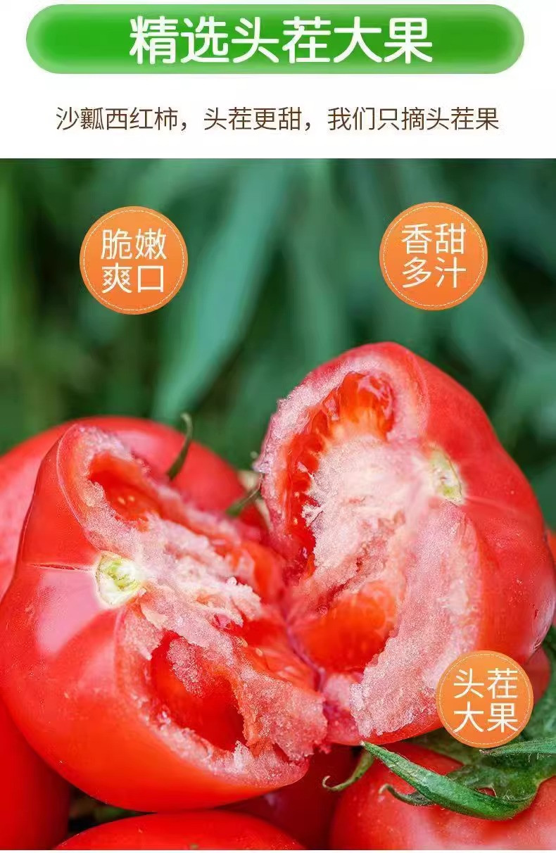 鲜小盼 【助农】正宗普罗旺斯 3斤 新鲜美味番茄个大饱满
