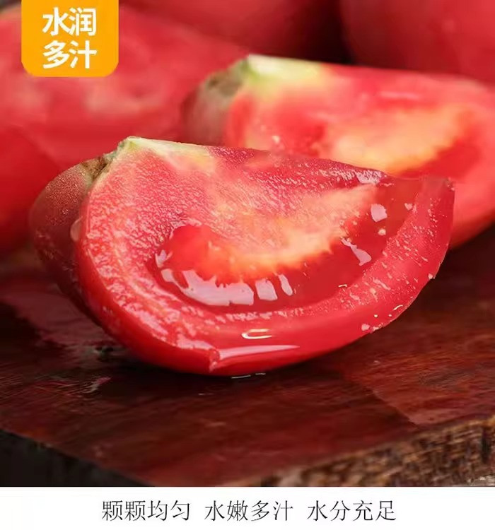 鲜小盼 【帮扶】 5斤沙瓤西红柿西红柿新鲜番茄 新鲜现摘生吃西红柿