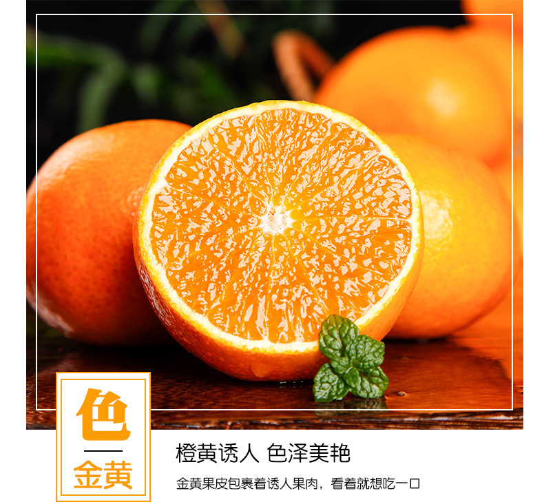 鲜小盼 【帮扶】湖北伦晚脐橙 5斤当季新鲜采摘橙子皮薄多汁