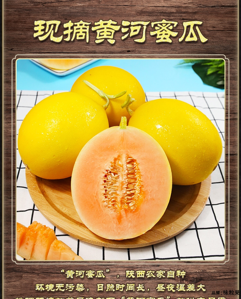 鲜小盼 【帮扶】正宗黄河蜜瓜 5斤头茬软糯香甜 当季新鲜黄金蜜瓜