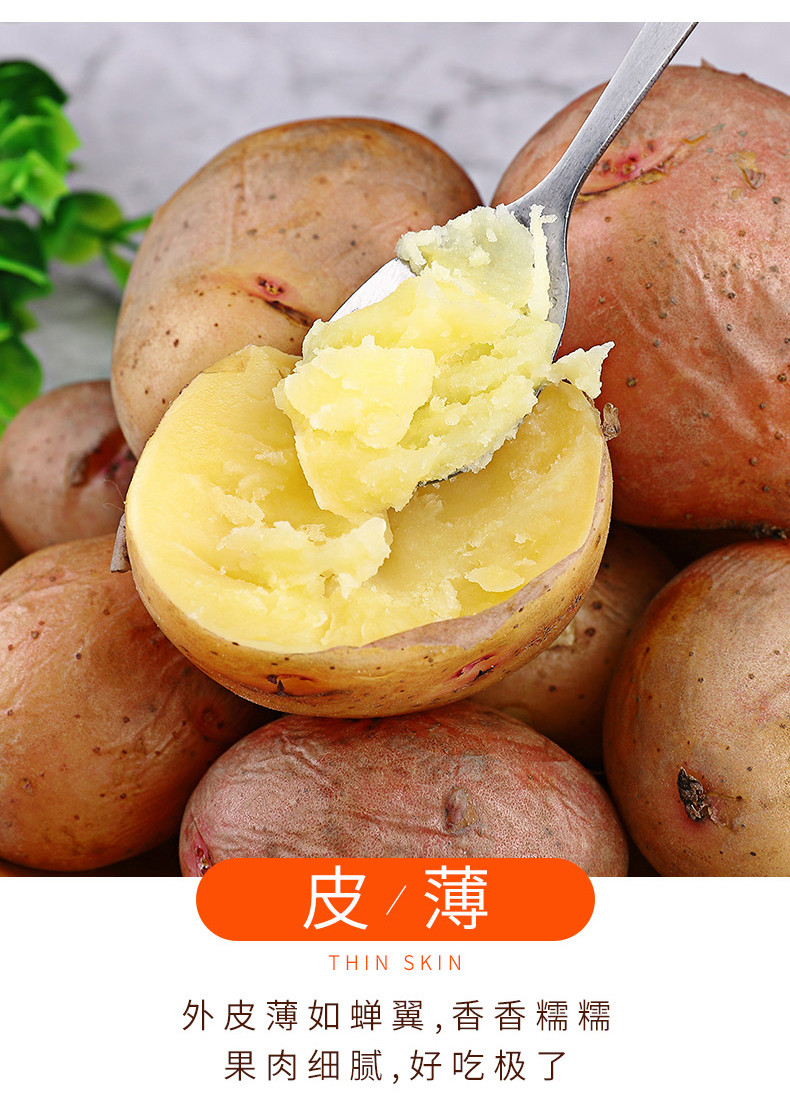 鲜小盼 【助农】新鲜土豆农家自种蔬菜5斤红皮黄心土豆香甜软糯马铃薯洋