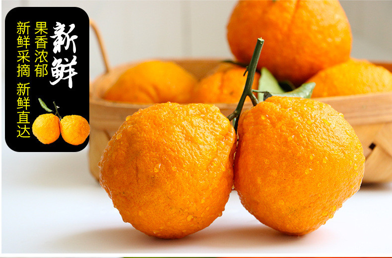 鲜小盼 不知火丑橘 5斤当季新鲜水果丑八怪橘子粑粑蜜桔子柑橘