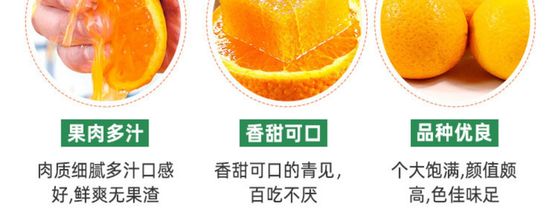 鲜小盼 四川正宗青见果冻橙9斤新鲜青见柑橘手剥橙应季水果