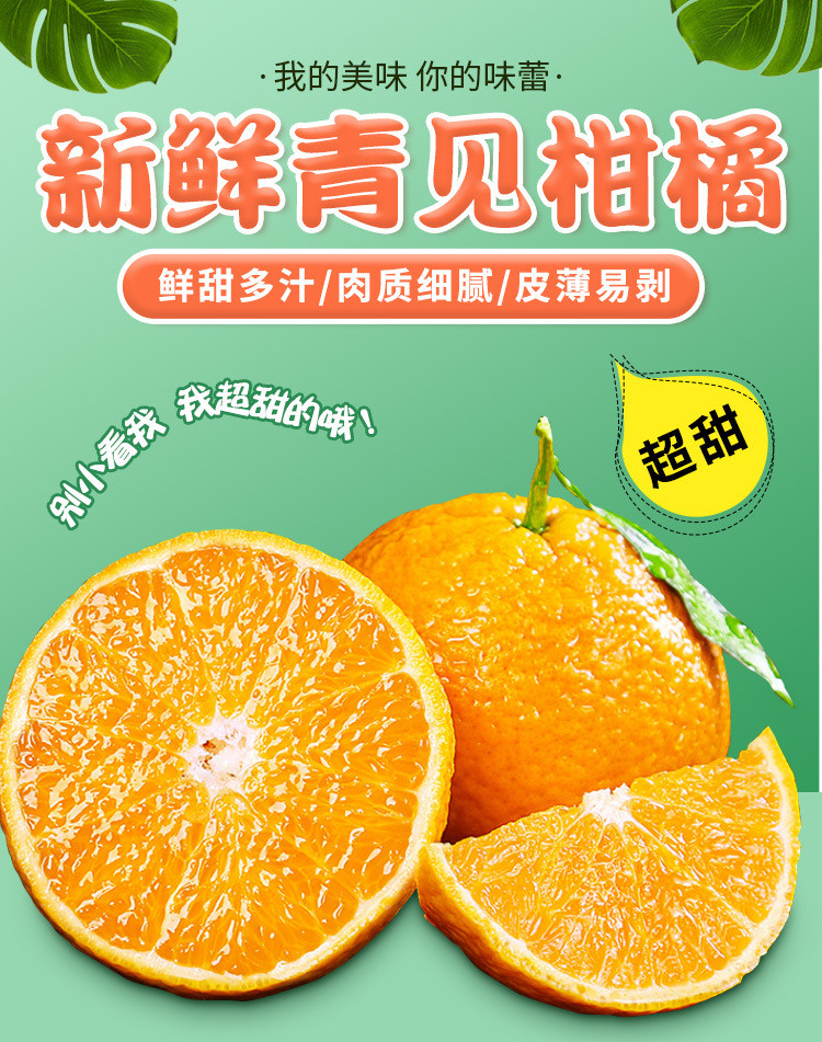 鲜小盼 四川正宗青见果冻橙9斤新鲜青见柑橘手剥橙应季水果