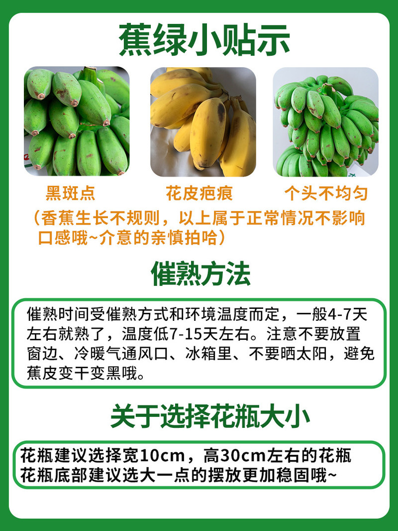 鲜小盼 【助农】整串小香蕉【2把】办公室水培禁止蕉绿绿植小米蕉可食用