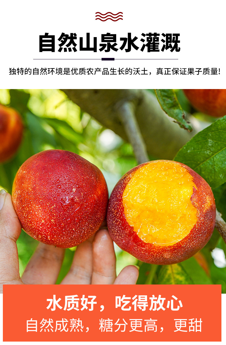 鲜小盼 【助农】黄心油桃3斤新鲜脆甜多汁孕妇应季水果黄肉水果