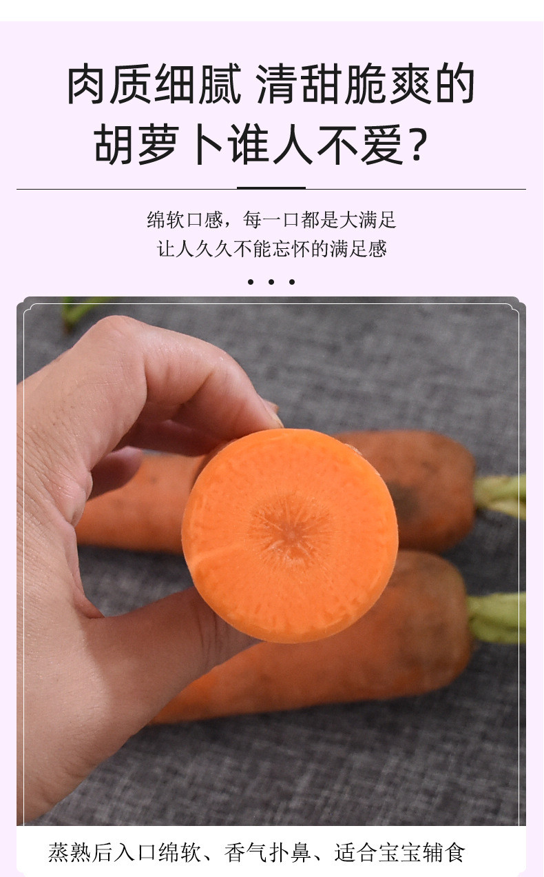 鲜小盼 【助农】新鲜胡萝卜5斤蔬菜农家自种现挖胡萝卜红皮萝卜