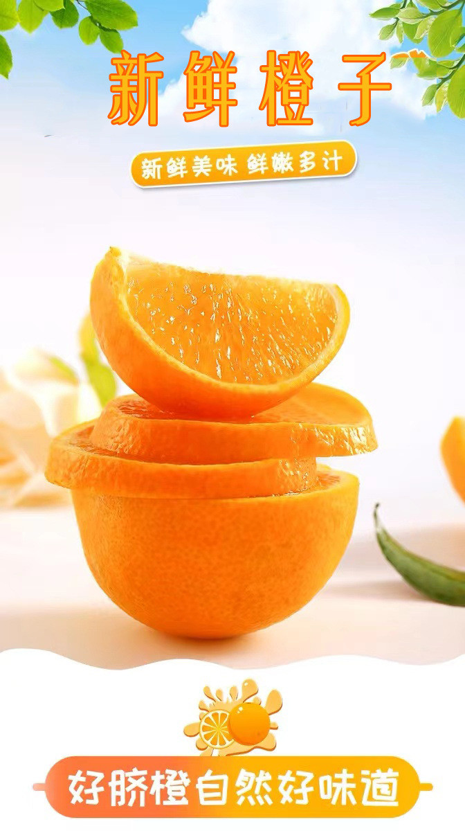 鲜小盼 夏橙 5斤当季现摘现发多汁手剥橙新鲜橙子酸甜多汁