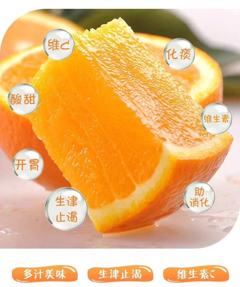 鲜小盼 【助农】夏橙5斤当季现摘现发多汁手剥橙新鲜橙子