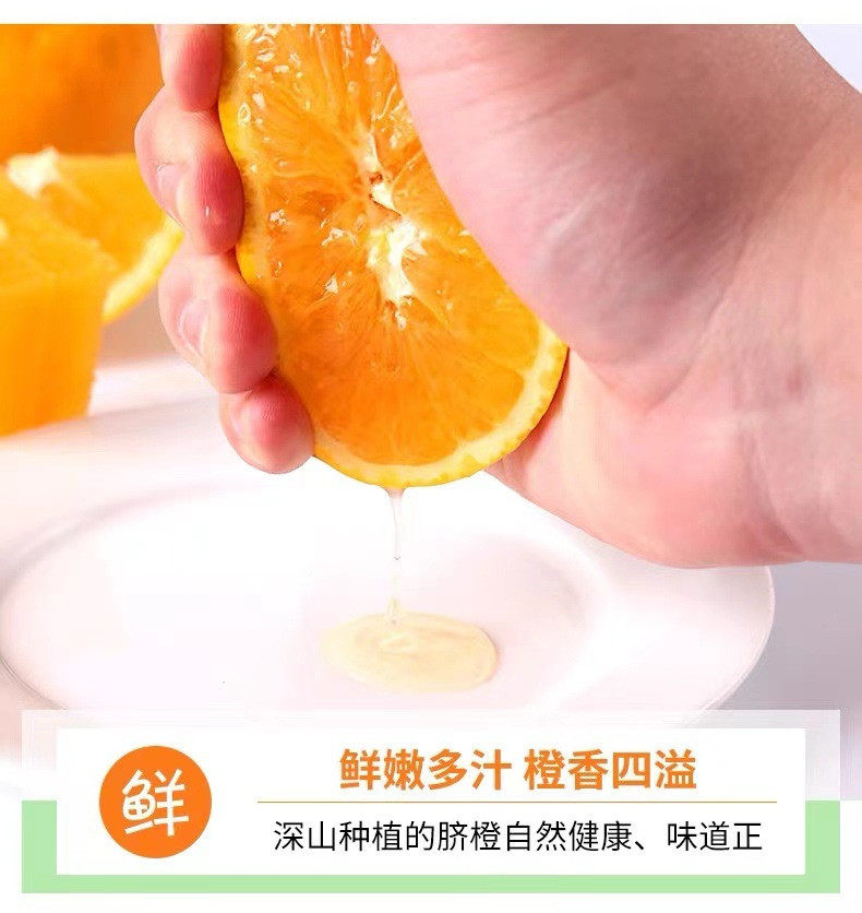 鲜小盼 夏橙 5斤当季现摘现发多汁手剥橙新鲜橙子酸甜多汁