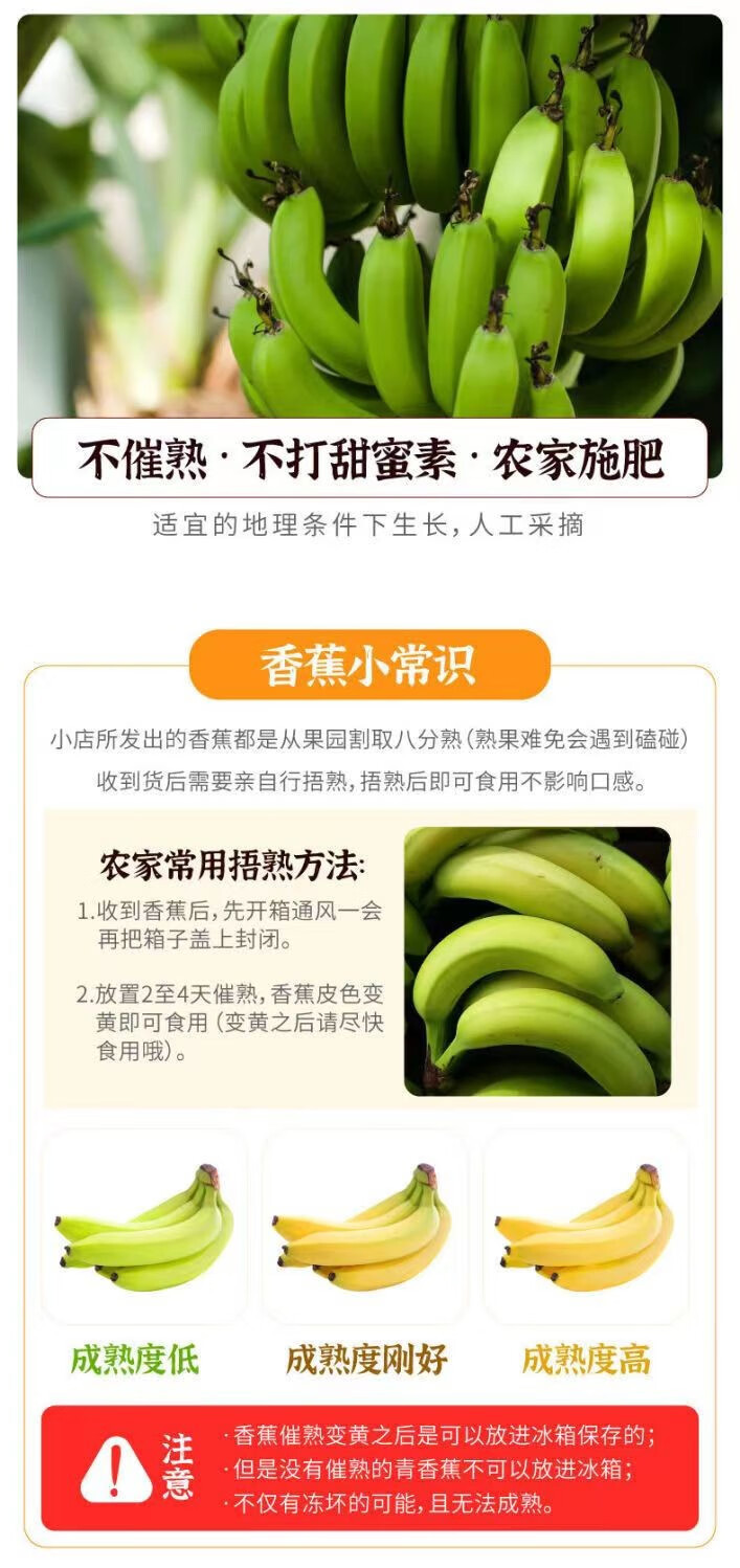 鲜小盼 香蕉【9斤巴西蕉】甜糯香蕉云南当季新鲜水果薄皮
