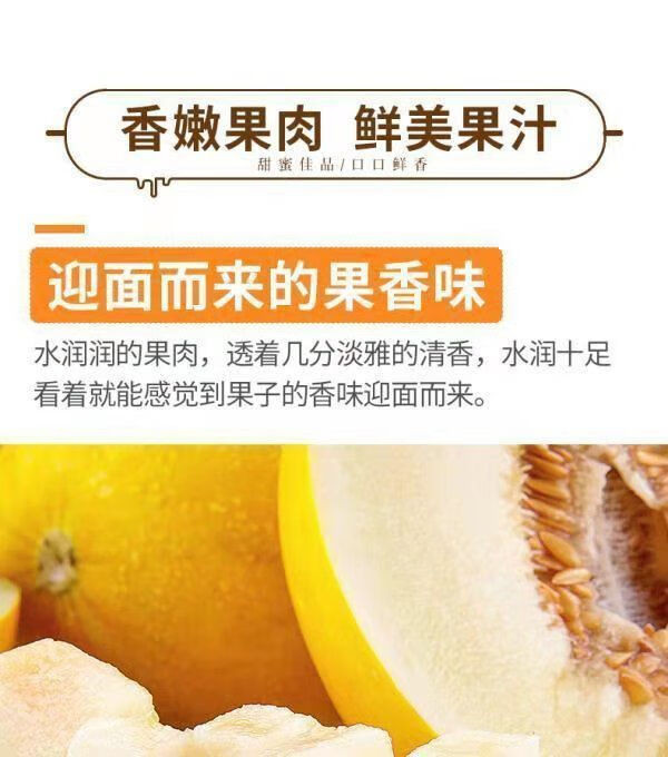 鲜小盼 助农 黄河蜜瓜3斤现摘现发当季新鲜水果黄金黄皮甜瓜