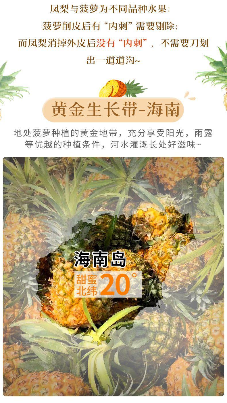 鲜小盼 【助乐】无眼金钻凤梨9斤当季新鲜水果树上熟应当季时令酸甜
