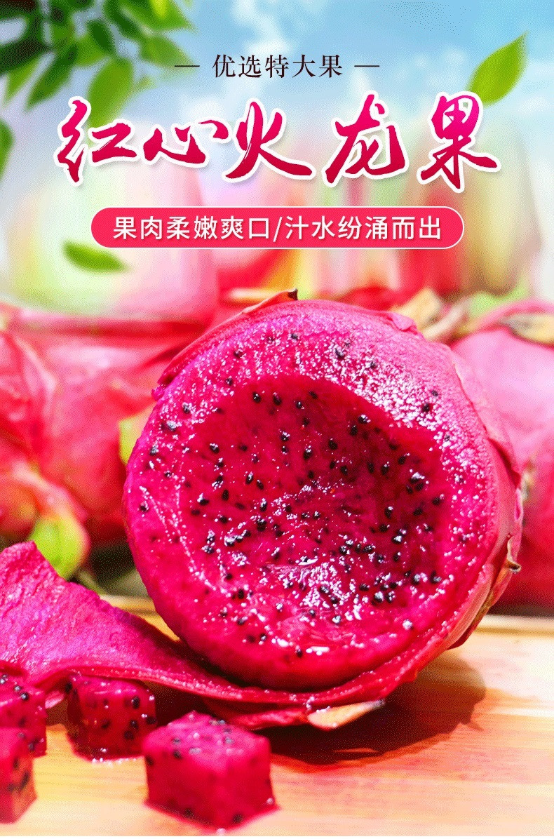 鲜小盼 红心火龙果5斤新鲜现摘果园直供正宗水果时令当季水果