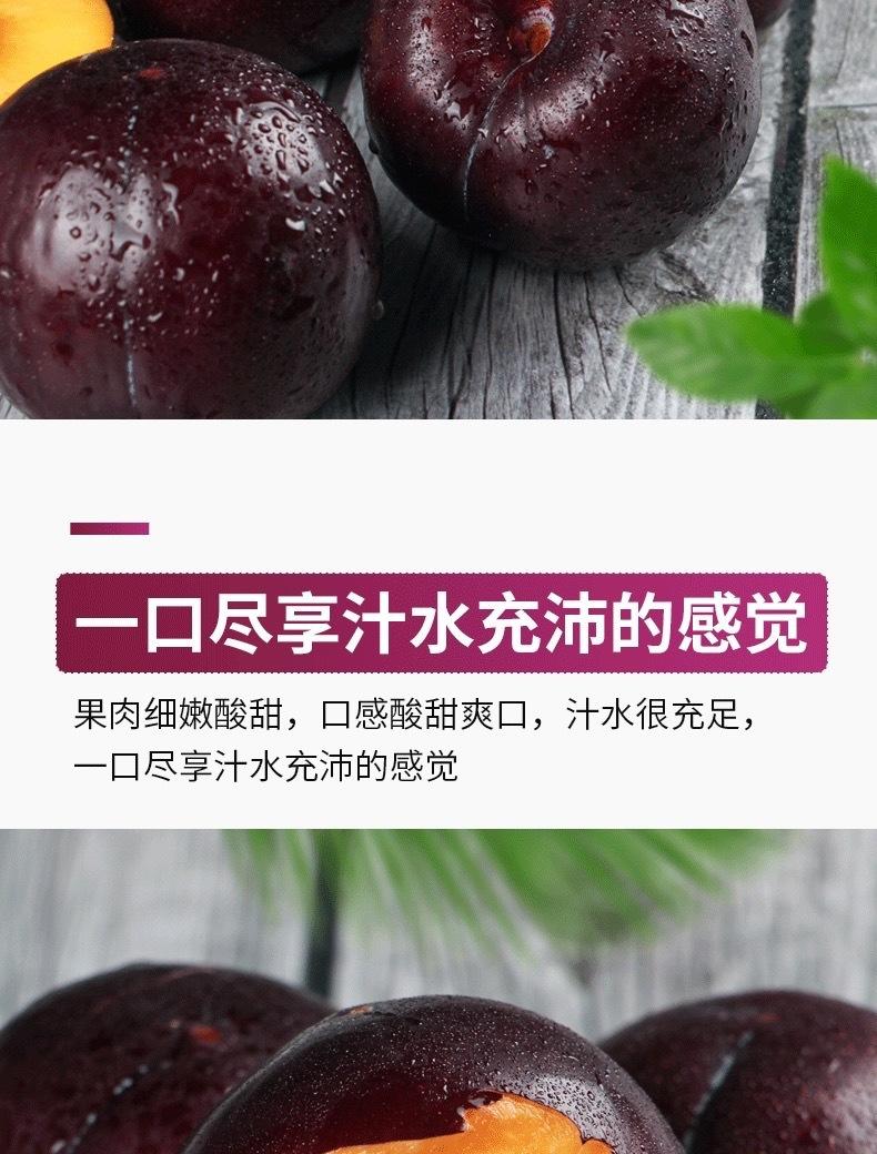 鲜小盼 当季新鲜黑布林李子【3斤】新鲜水果脆甜爽口孕妇水果