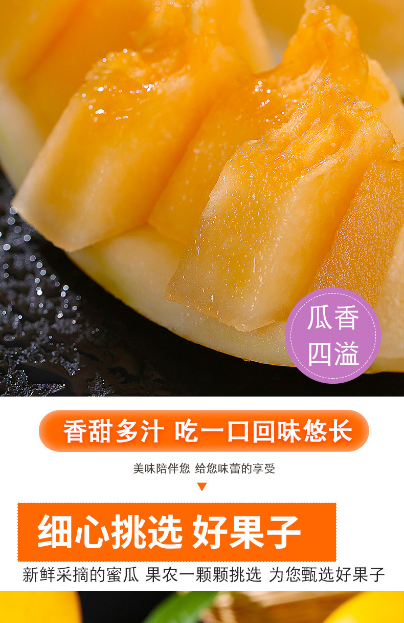 鲜小盼 正宗甘肃民勤【5斤】黄金蜜瓜甜瓜新鲜水果黄皮香瓜当季