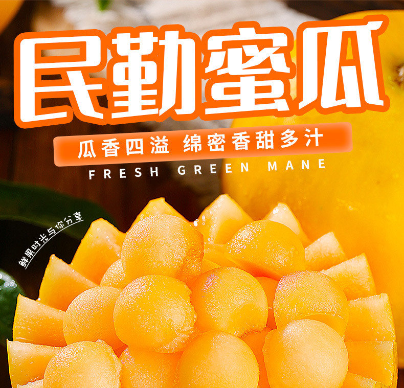 鲜小盼 民勤蜜瓜【9斤】新鲜香瓜甜瓜水果沙漠黄金蜜脆甜