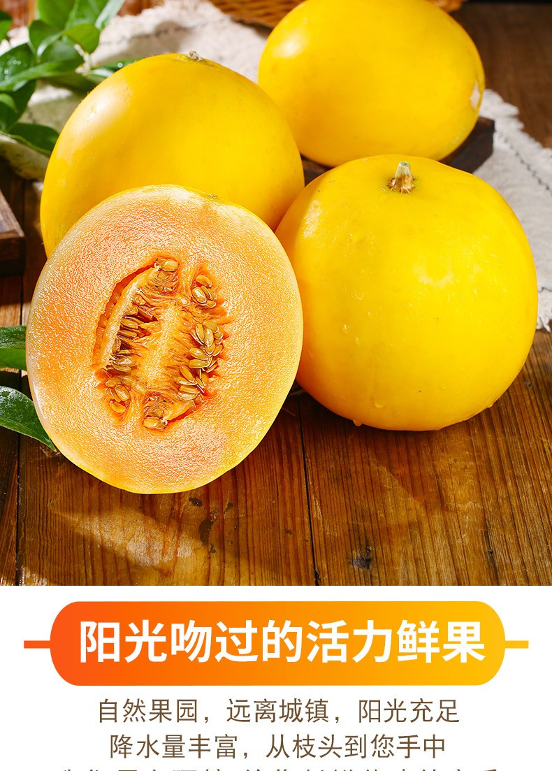 鲜小盼 民勤蜜瓜【9斤】新鲜香瓜甜瓜水果沙漠黄金蜜脆甜