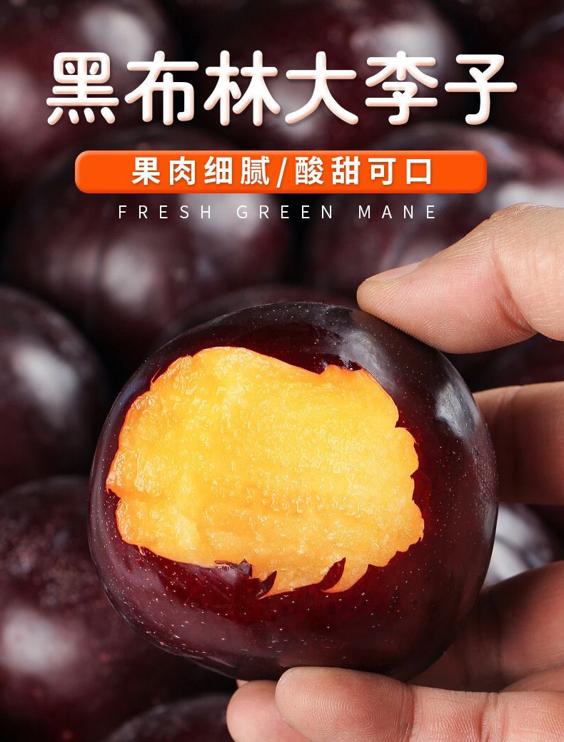 鲜小盼 当季新鲜黑布林李子【3斤】新鲜水果脆甜爽口孕妇水果