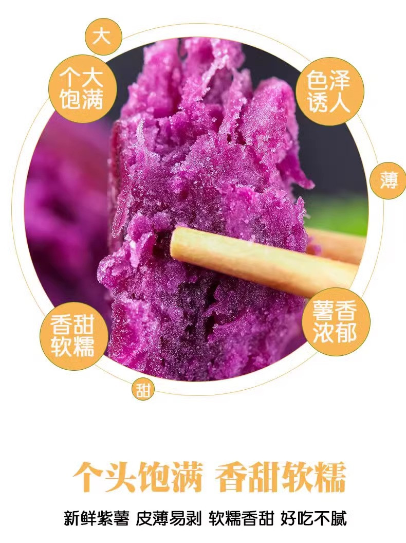 鲜小盼 现挖紫薯新鲜【9斤】地瓜农家软糯山芋沙地红紫心蜜薯紫薯