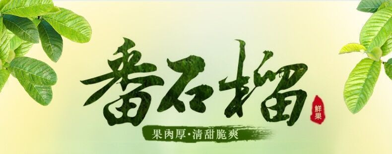 鲜小盼 白心芭乐番石榴【3斤】脆甜当季每日现摘新鲜水果孕妇水果精选