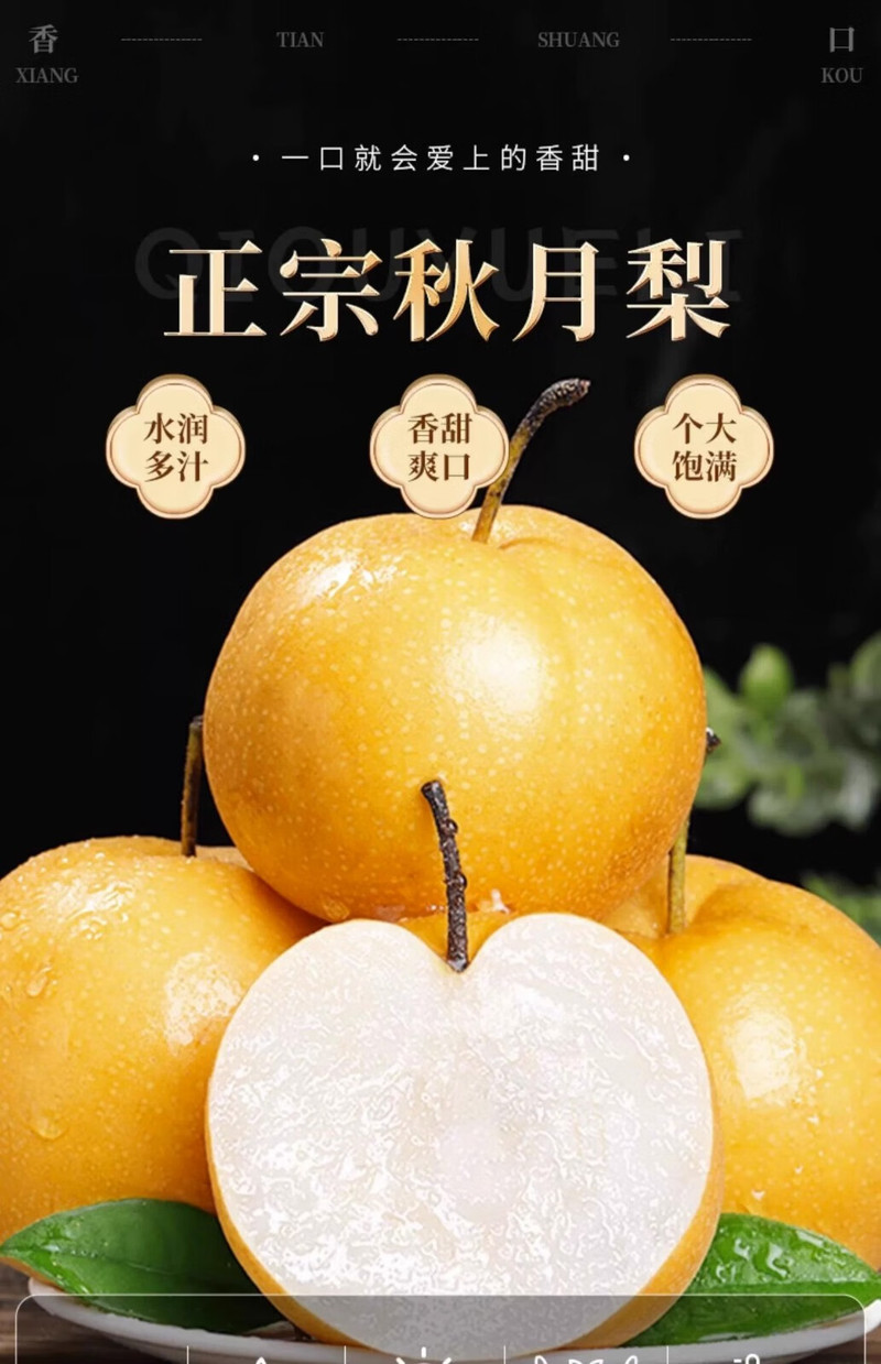 鲜小盼 正宗秋月梨【3斤】新鲜梨当季现摘莱阳冰糖梨雪梨蜜梨水果